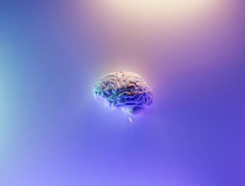 Brain Fog Recovery, Simplified: Hydrated Fasting + Smart Basics