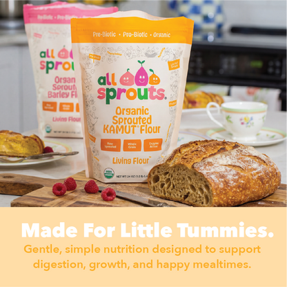 AllSprouts™ Organic Sprouted Kamut Brand Wheat Flour