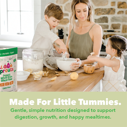 AllSprouts™ Organic Sprouted  Whole Grain Wheat Flour